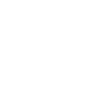 All Pro Logo